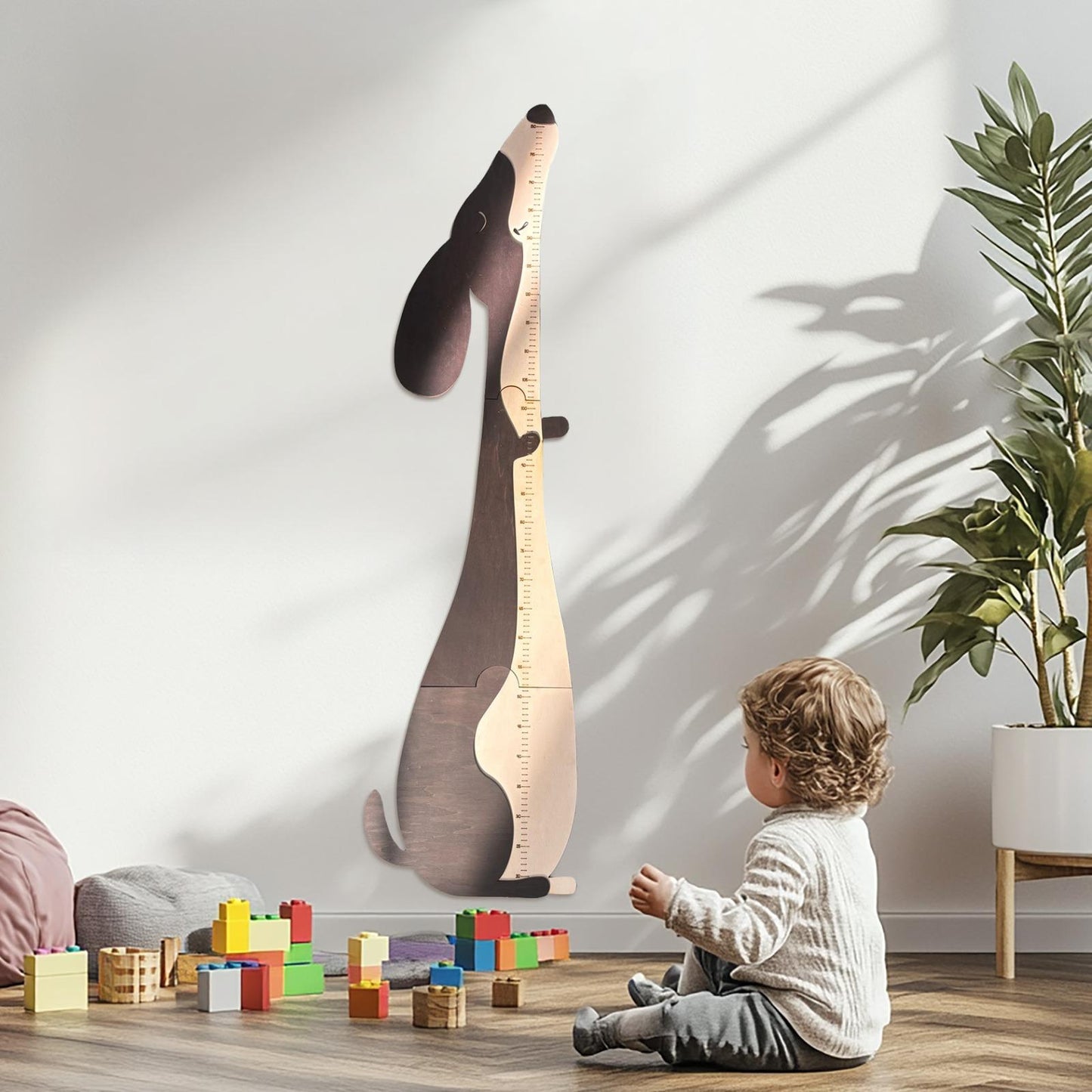 Otto il Bassotto - Segna Crescita