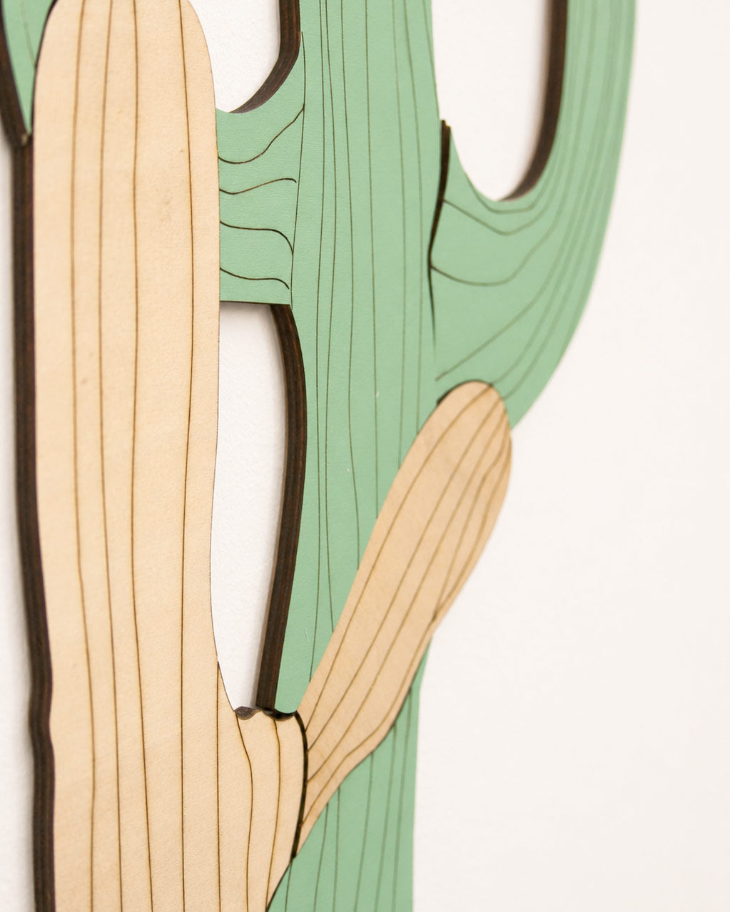 Dettaglio incisione laser su legno verde e naturale — Cactus Alto Wudo