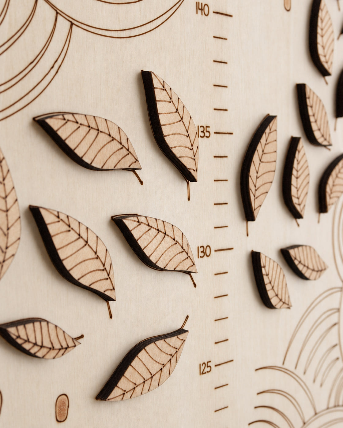 Foglie in legno a rilievo incise al laser accanto alla scala in centimetri da 125 a 140 cm