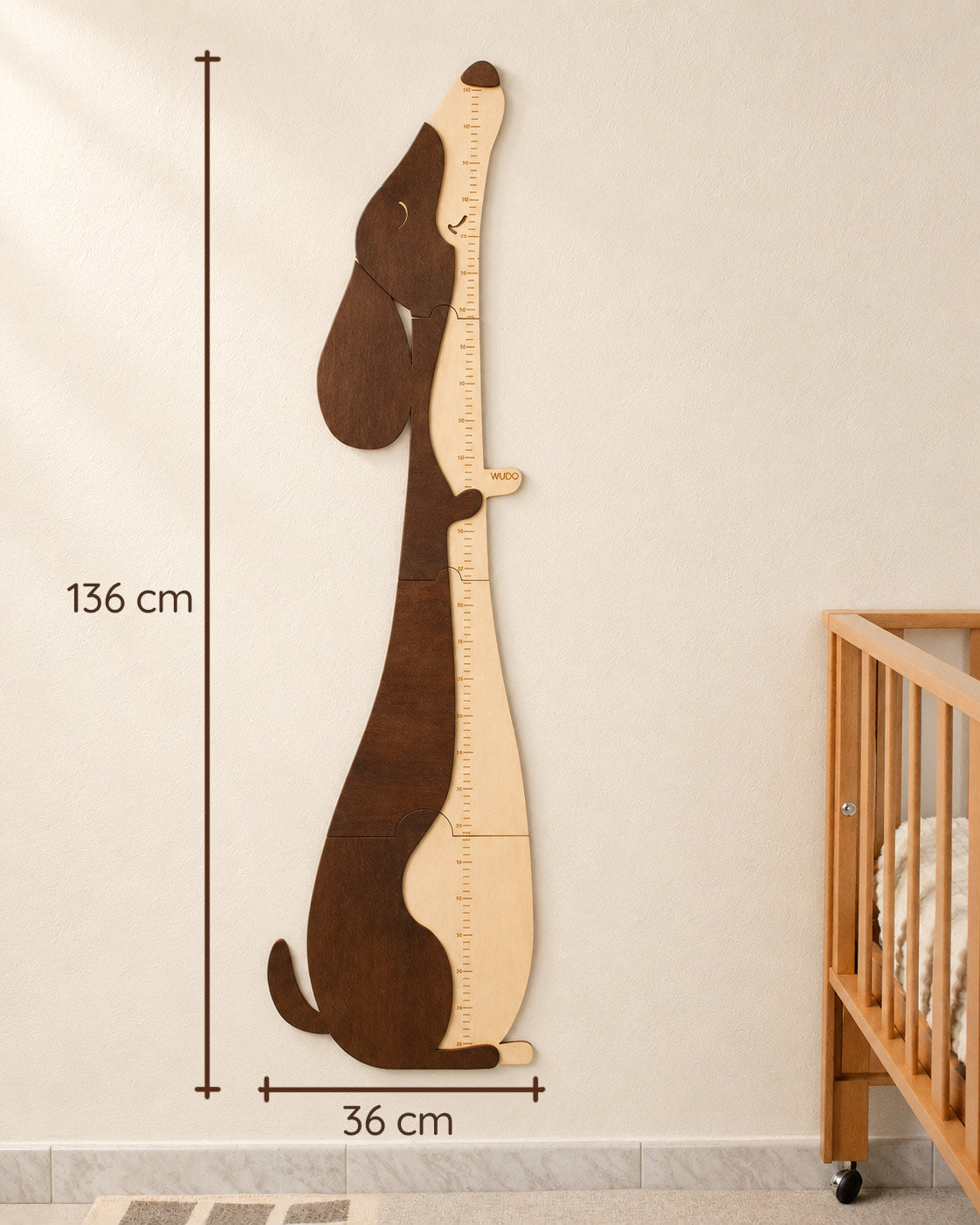 Misure del metro crescita Otto Bassotto: 136 cm di altezza e 36 cm di larghezza