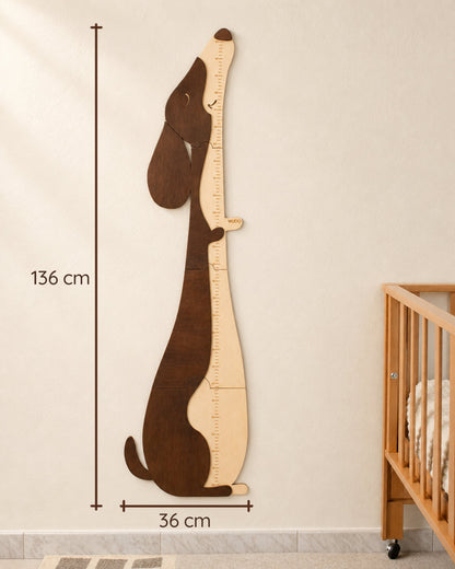 Misure del metro crescita Otto Bassotto: 136 cm di altezza e 36 cm di larghezza
